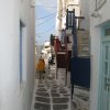 IMG_0536