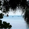 Thai,09